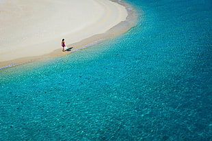 fish-eye lens photography of woman walking on seashore at daytime HD wallpaper