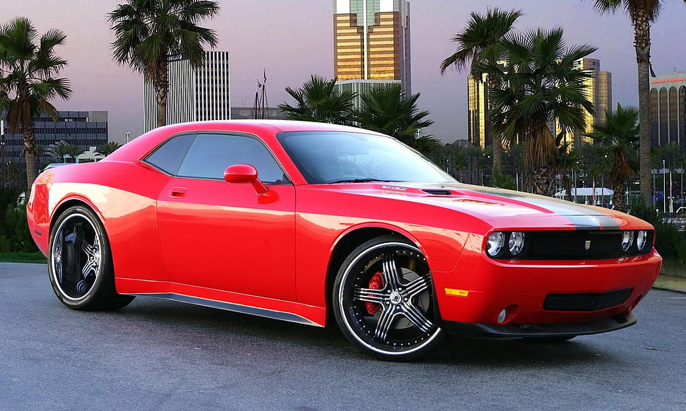 photography of red Dodge Challenger HD wallpaper