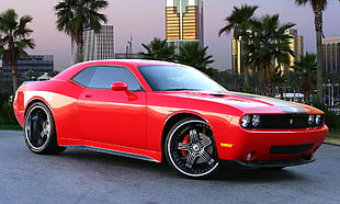 photography of red Dodge Challenger