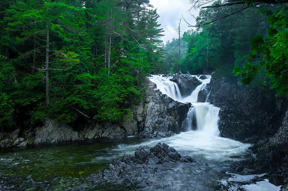 waterfalls between green leaved trees during daytime HD wallpaper