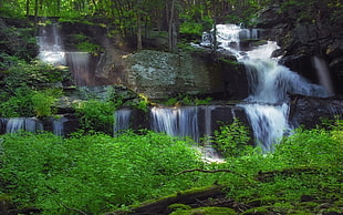 photography of waterfalls on green forest during daytime
