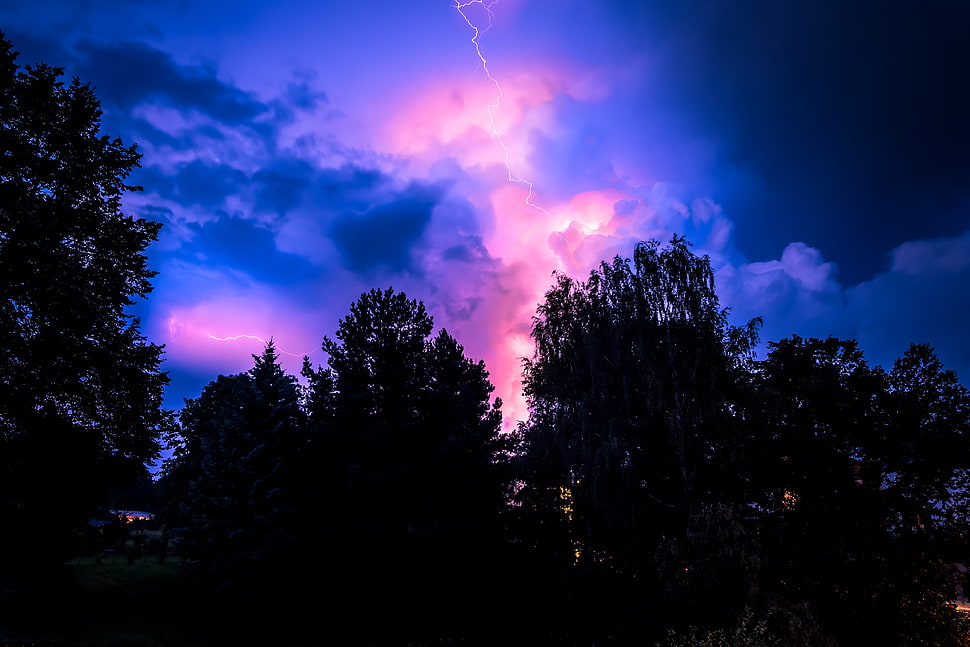 silhouette of trees, Storm, Sky, Trees HD wallpaper