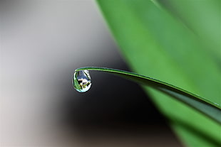 water drop in tilt shift lens photogrpahy