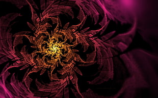 orange and maroon digital wallpaper