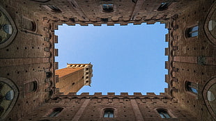 brown building structure, castle, Siena, Italy, Piazza del Campo