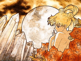 Sailor Moon anime wallpaper