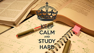 Keep Calm and Study Hard text HD wallpaper