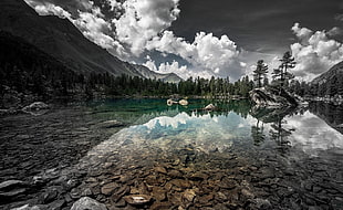 body of water between trees and mountain, lake, mountains, sky, green