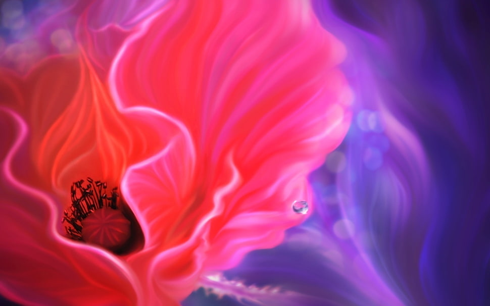 red flower illustration HD wallpaper