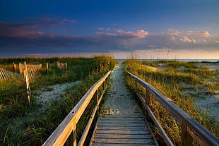 born wooden bridge, walkway, beach, clouds, grass