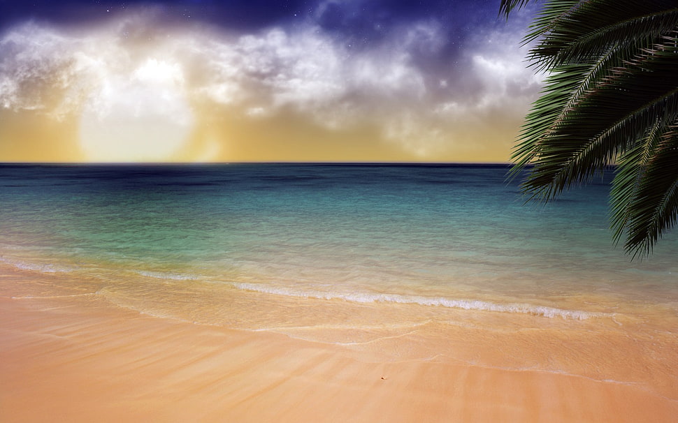 ocean water illustration, beach, sand, palm trees, sea HD wallpaper