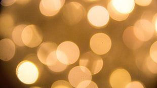 photography of bookeh light