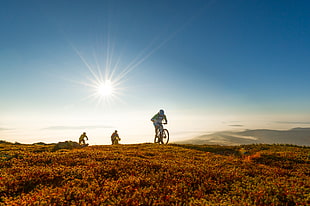 three people riding bike on grass field, trysil HD wallpaper