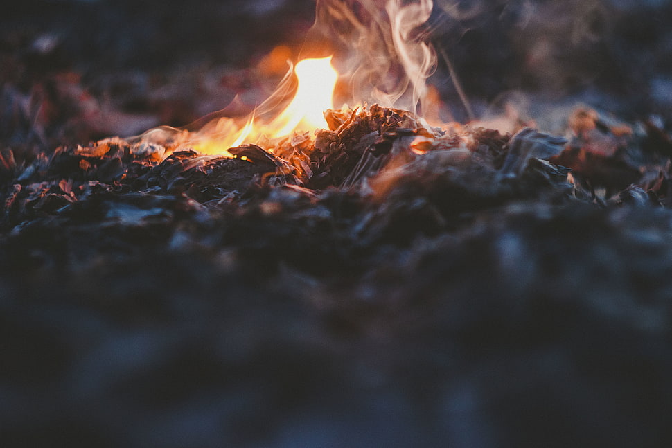 closeup photo of fire HD wallpaper