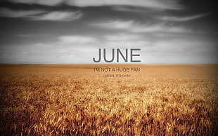 brown field, landscape, June, photography, quote