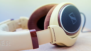 close up photography of beige and brown Sennheiser corded headphones