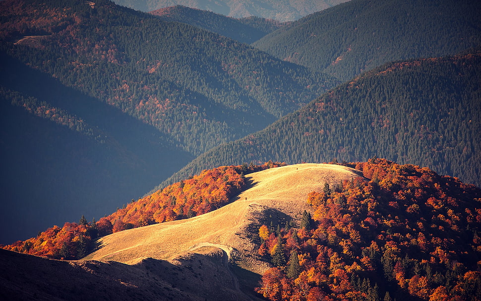 brown hills under blue sky HD wallpaper