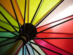 close-up photography of multicolored umbrella HD wallpaper