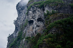 mountain cliff with green leaf trees at daytime
