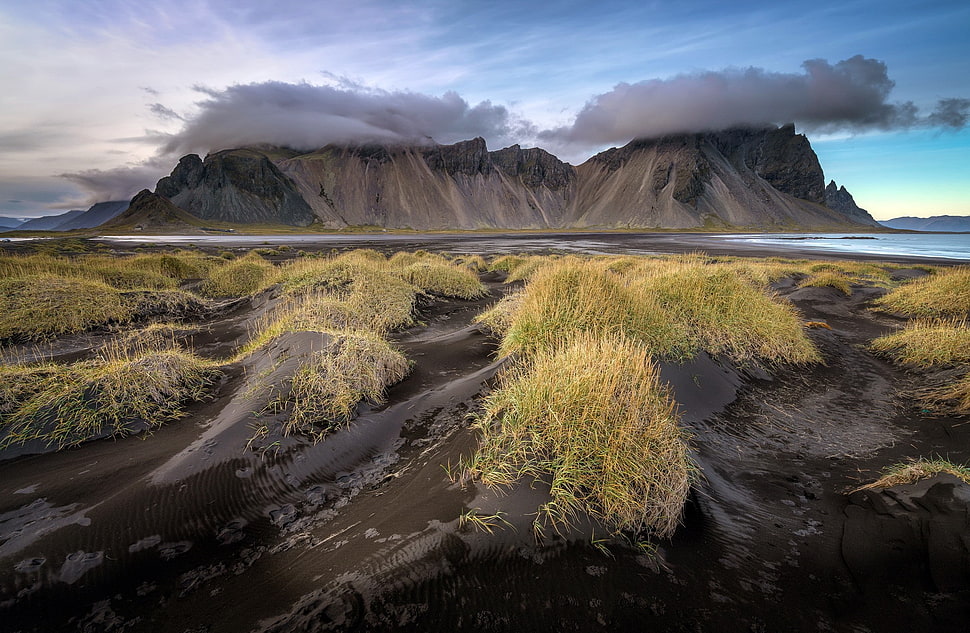 green grass, Iceland, nature, landscape HD wallpaper