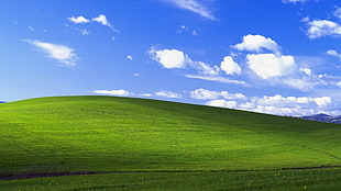 Windows wallpaper, Windows XP, garden, landscape