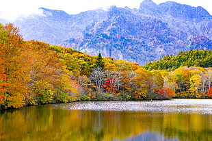 body of water surrounded by trees and mountains photo