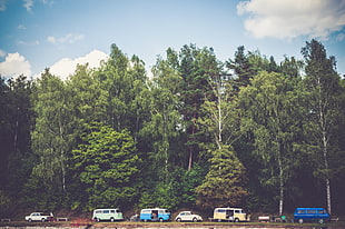 Trees,  Forest,  Vans,  Camping HD wallpaper