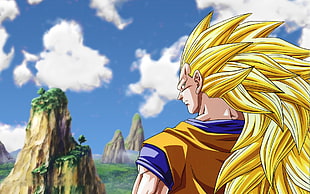 San Goku Supersayan 3 graphics HD wallpaper