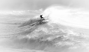 grayscale photography of surfer on wave HD wallpaper