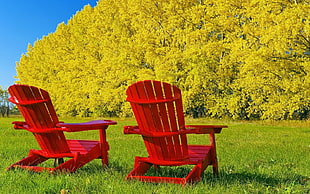 two red wooden armchairs on green grass photo during daytime