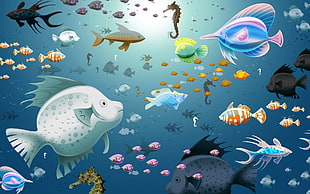 assorted fish illustration HD wallpaper
