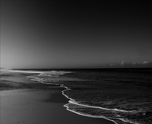 beach in grayscale photography
