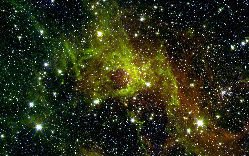 green and black leaf plant, space, nebula HD wallpaper