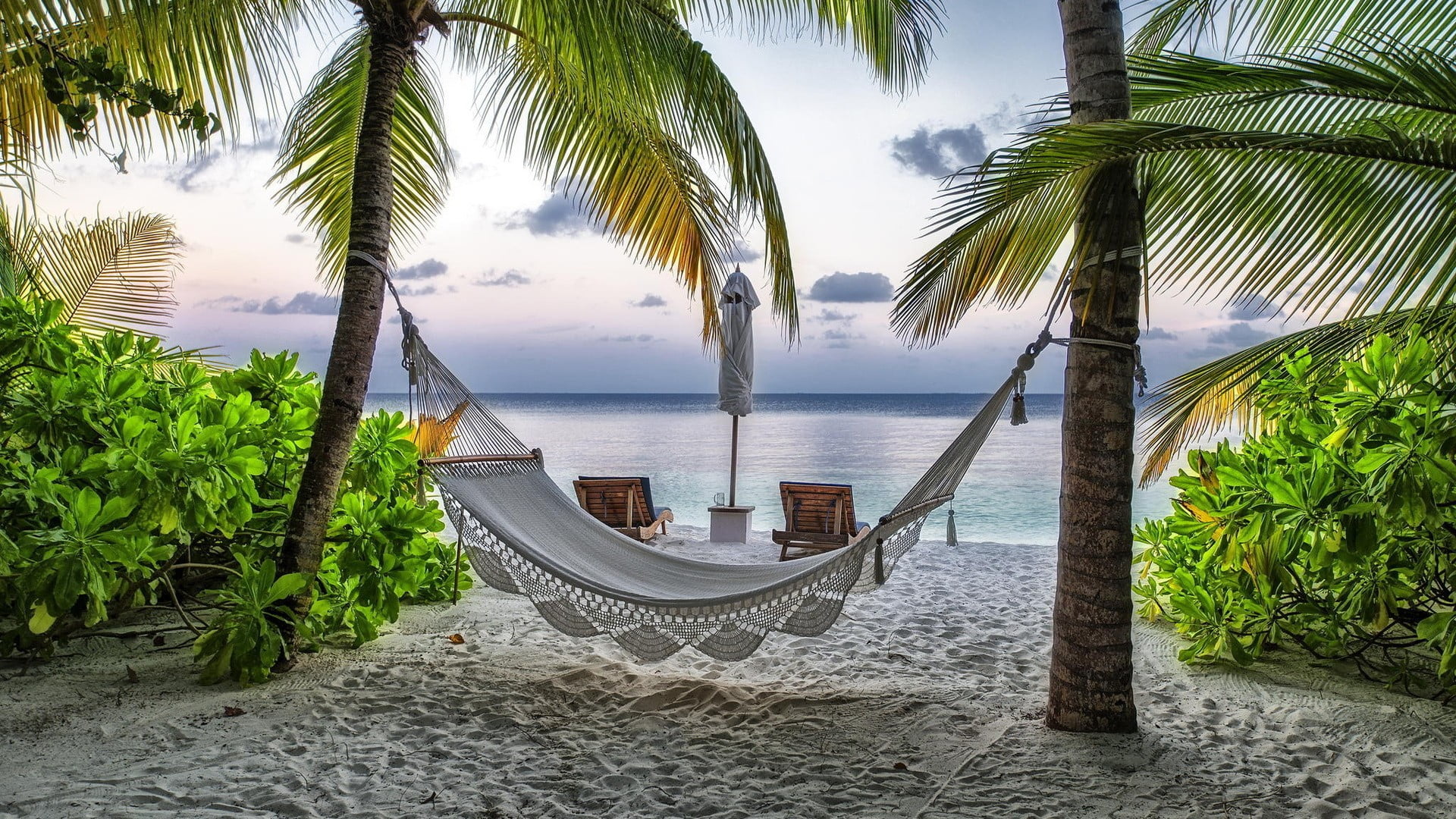 White hammock, landscape, hammocks, palm trees, tropical HD wallpaper ...