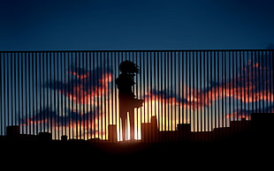 woman standing near fence near the city during sunset
