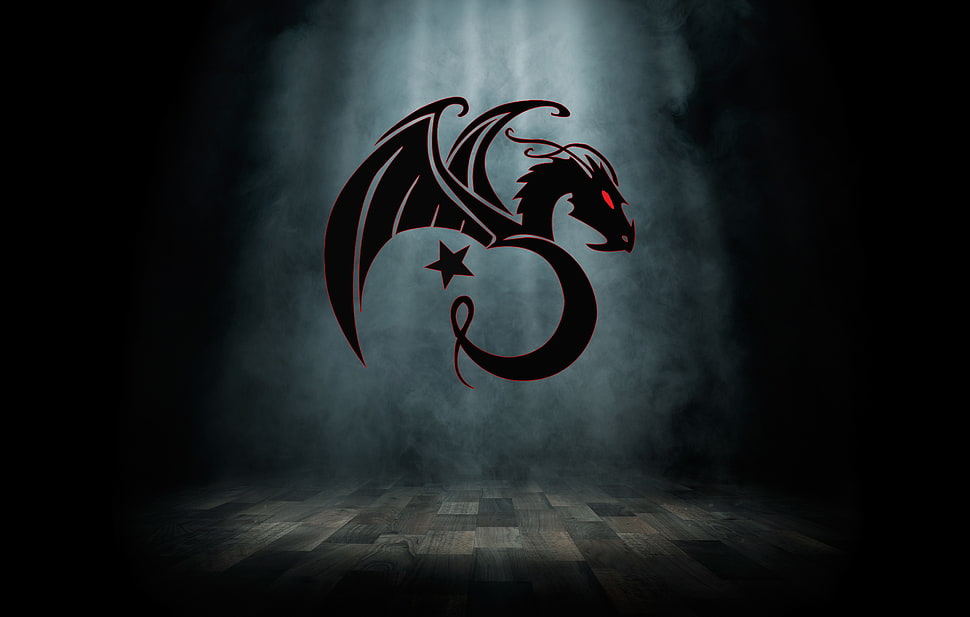 black dragon wallpaper, Kali, Linux,  EjderTim, hacking HD wallpaper