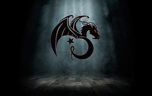 black dragon wallpaper, Kali, Linux,  EjderTim, hacking HD wallpaper