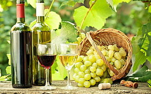 two green labeled wine bottles and two clear wine glasses, wine, drink, grapes, food