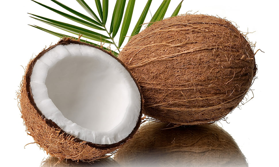 cut into half coconut fruit on white surface HD wallpaper