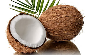 cut into half coconut fruit on white surface HD wallpaper
