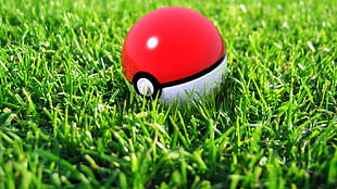 red and black plastic toy, balls, grass