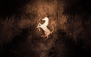 white horse wallpaper HD wallpaper