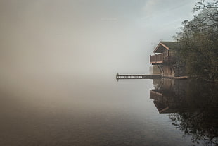 brown building, nature, landscape, lake, mist