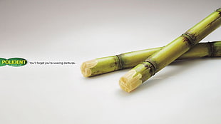two green sugar canes, artwork, commercial