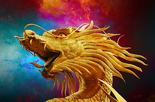 golden dragon statue HD wallpaper