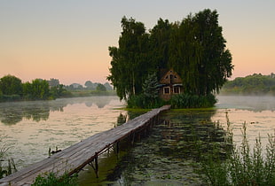 house surrounded by trees and dock, island, house, lake, bridge
