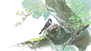 black and white bird on tree illustration, The Tale of Princess Kaguya, princess, Kaguya, animated movies HD wallpaper