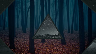 triangular hanging decor, trees, stars, space, blurred
