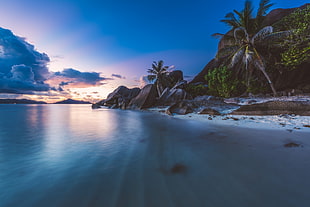 white sand beach, tropical, sky, sea, Seychelles