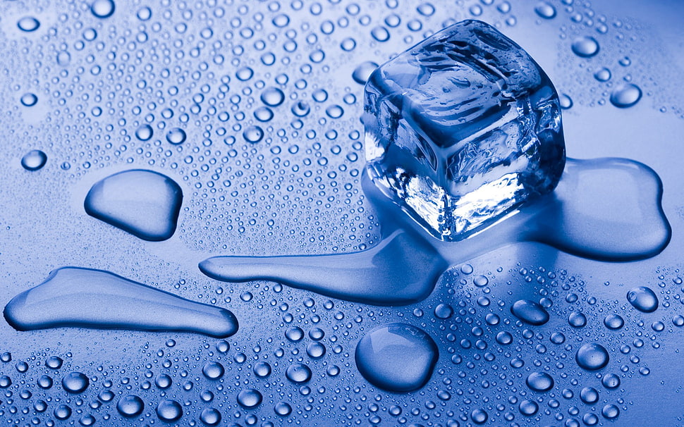 ice cube wallpaper, ice cubes, water HD wallpaper